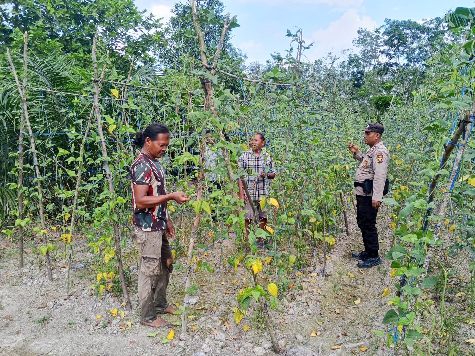 POLSEK BAYUNG LENCIR CEK KEBUN CABAI DAN TERONG WARGA, DORONG KETAHANAN PANGAN MASYARAKAT