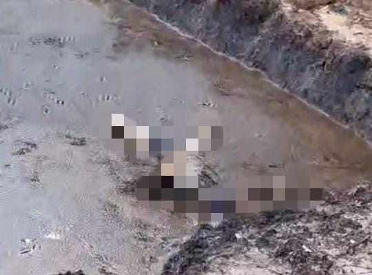 Prabowo Ditemukan Tewas di Kolam, Korban Jiwa Kebakaran Sumur Minyak Ilegal di Muba jadi 5 Orang